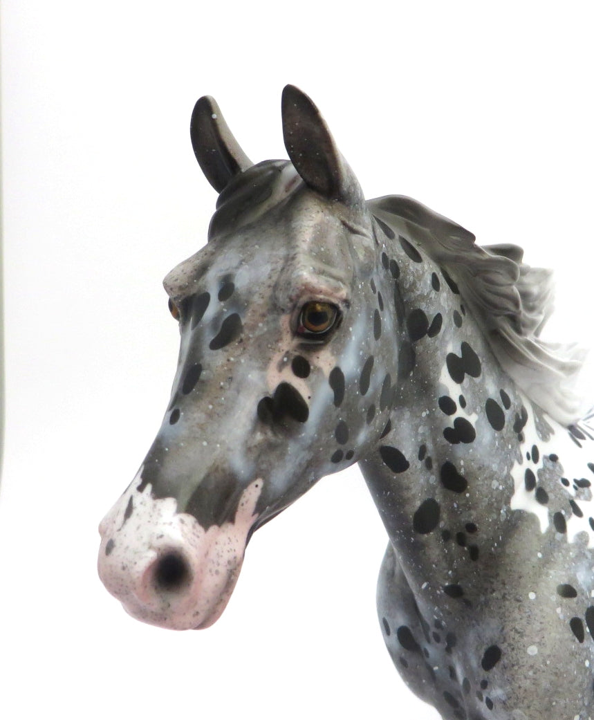 BLUE CLOUD-OOAK LOUD APPALOOSA PALOUSE BY DAWN QUICK 2/28/20