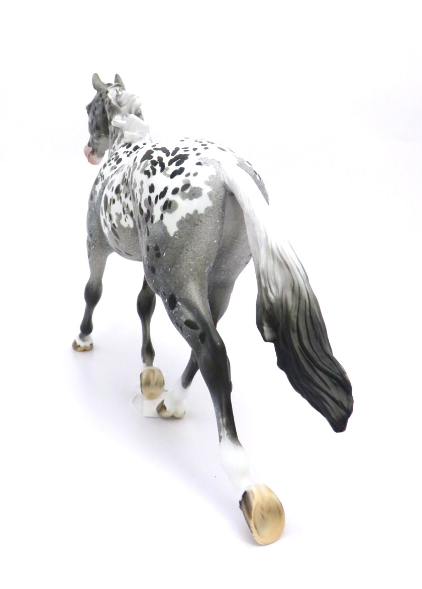 BLUE CLOUD-OOAK LOUD APPALOOSA PALOUSE BY DAWN QUICK 2/28/20