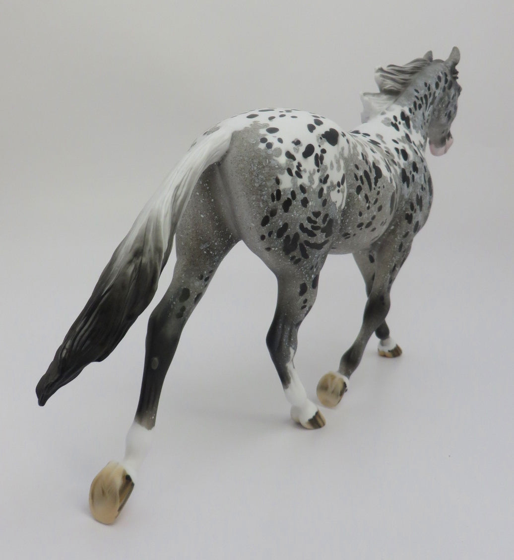 BLUE CLOUD-OOAK LOUD APPALOOSA PALOUSE BY DAWN QUICK 2/28/20