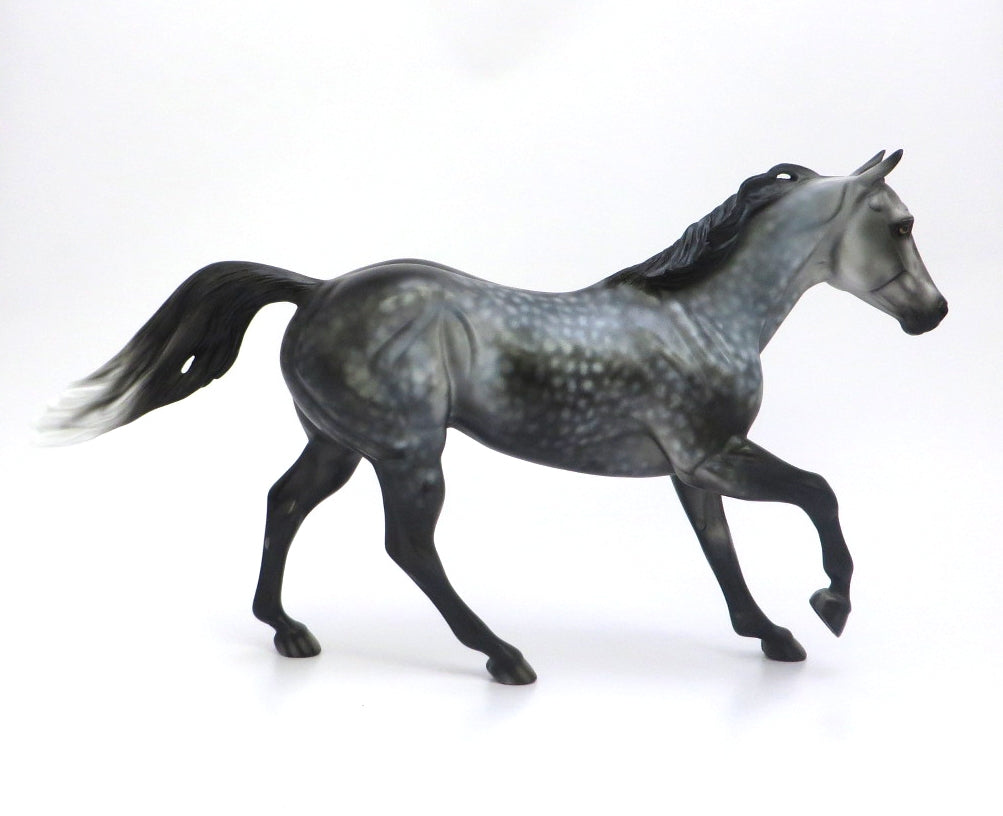 BLUE STONE-OOAK STAR DAPPLE GREY RUNNING QUARTER HORSE BY DAWN QUICK 2/27/20