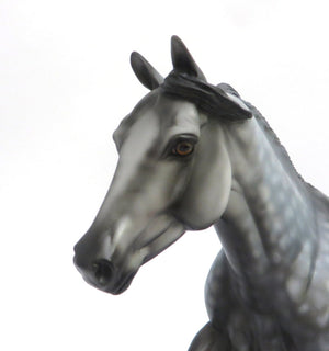 dapple grey quarter horse