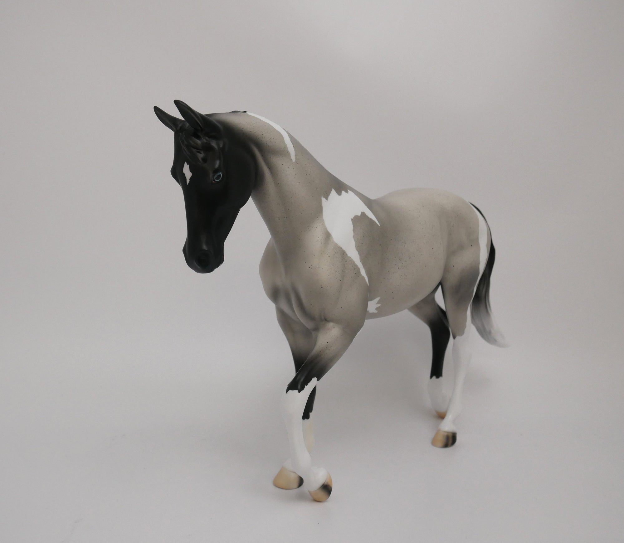 Blue Roan Thoroughbred By Audrey Dixon 6/19/20