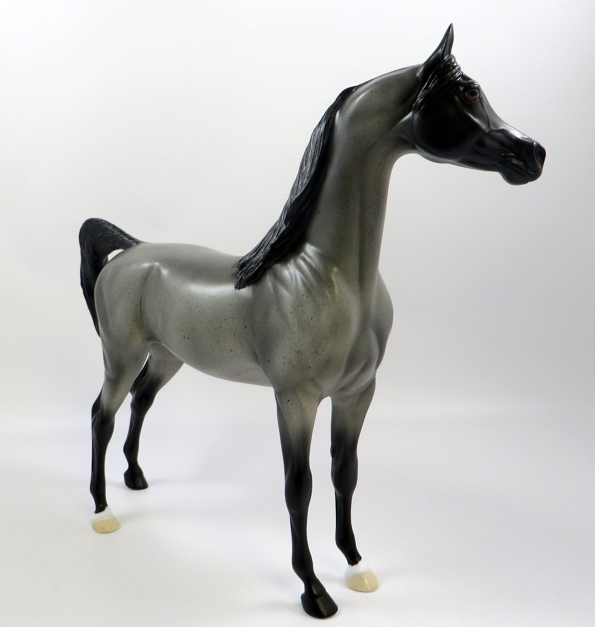BLUE COAT-OOAK BLUE ROAN ARABIAN MODEL HORSE EQ 2019