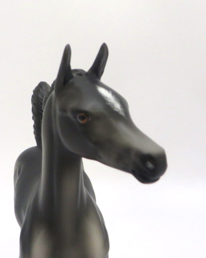 BLUEGRASS - OOAK DARK GREY FOAL MODEL HORSE BY KAYLA WESSE 4/9/20