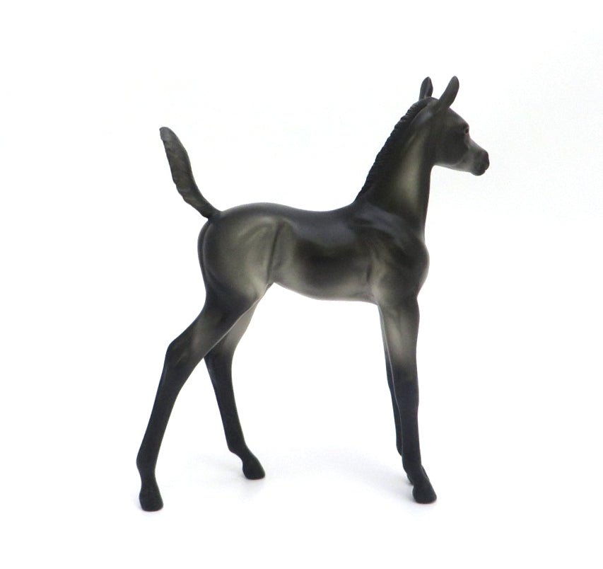 BLUEGRASS - OOAK DARK GREY FOAL MODEL HORSE BY KAYLA WESSE 4/9/20