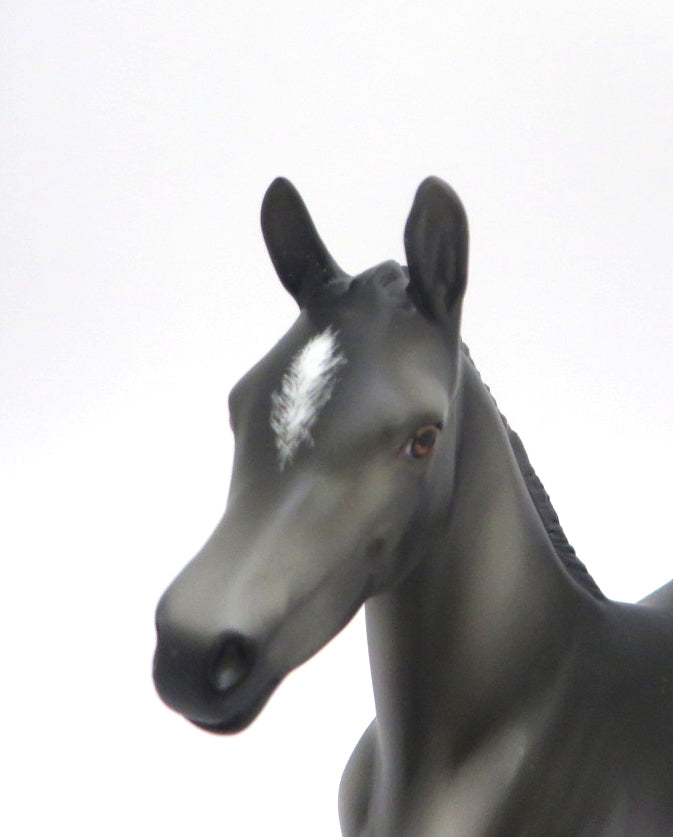 BLUEGRASS - OOAK DARK GREY FOAL MODEL HORSE BY KAYLA WESSE 4/9/20
