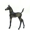 BLUEGRASS - OOAK DARK GREY FOAL MODEL HORSE BY KAYLA WESSE 4/9/20