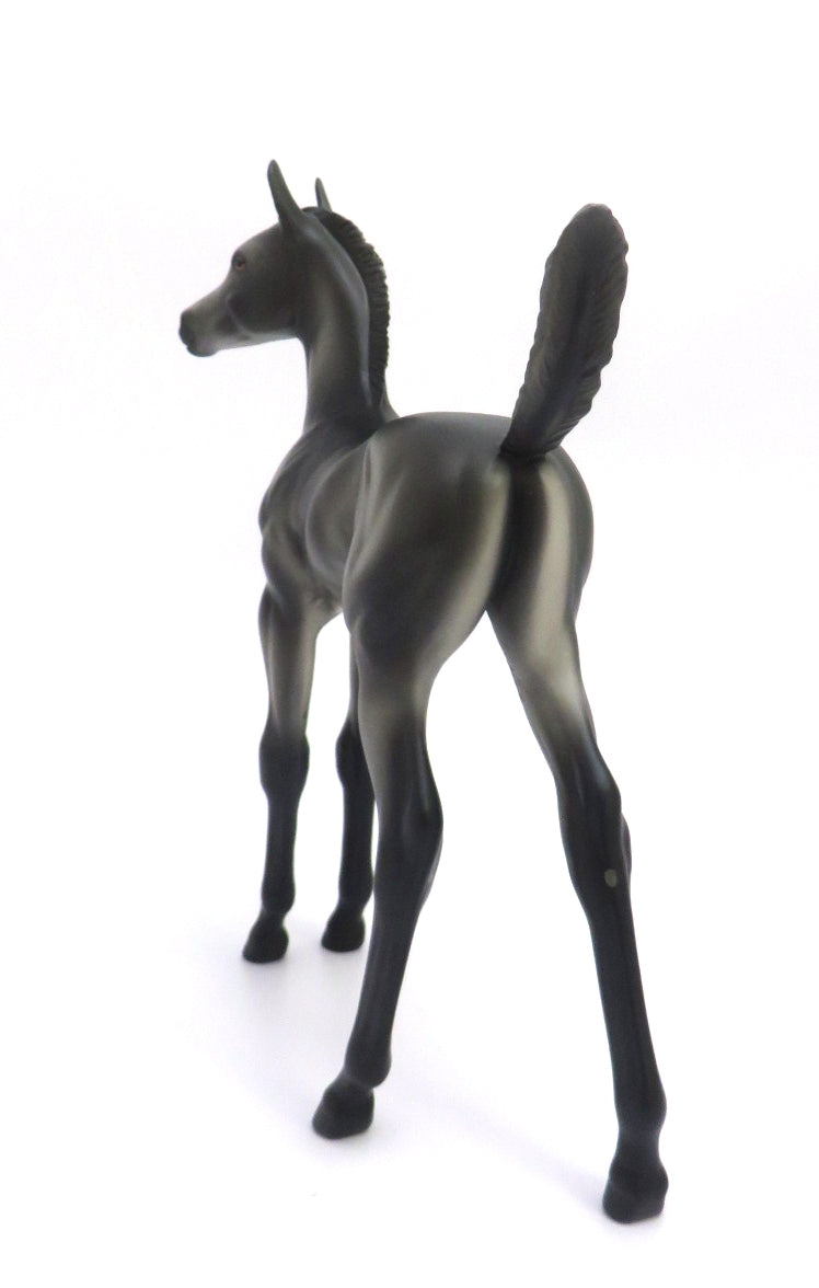 BLUEGRASS - OOAK DARK GREY FOAL MODEL HORSE BY KAYLA WESSE 4/9/20