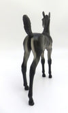 BLUEGRASS - OOAK DARK GREY FOAL MODEL HORSE BY KAYLA WESSE 4/9/20