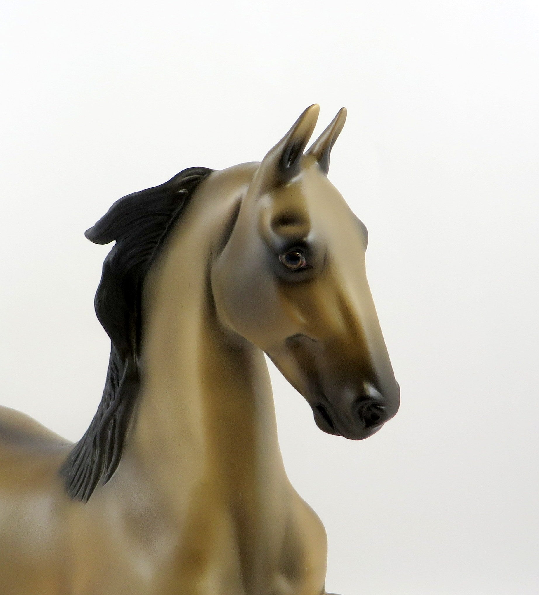 BOGDAN-OOAK SOOTY BUCKSKIN SADDLEBRED MODEL HORSE EQ 19