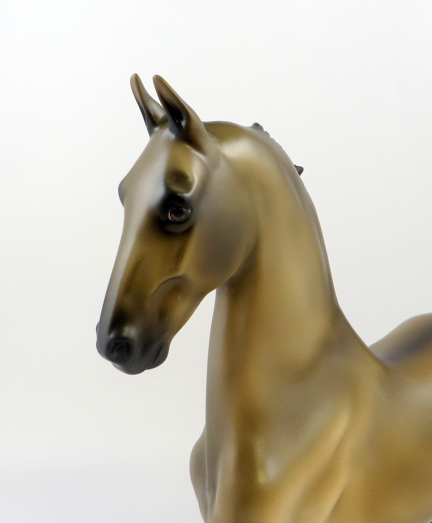 BOGDAN-OOAK SOOTY BUCKSKIN SADDLEBRED MODEL HORSE EQ 19