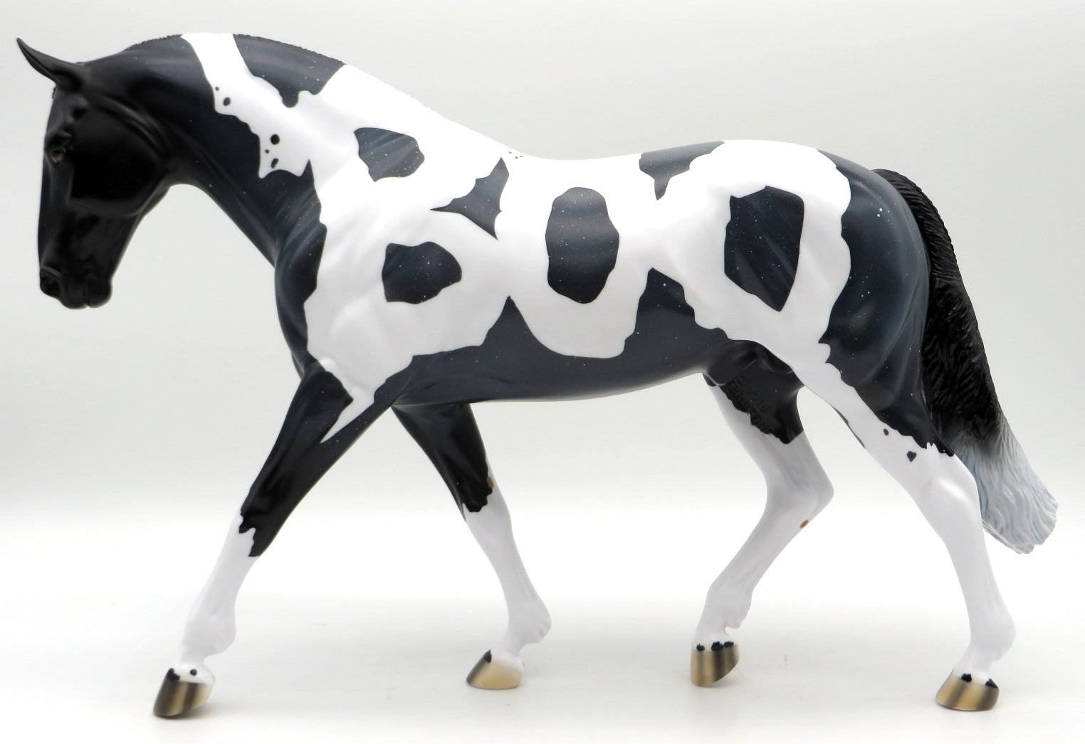 Boo - Blue Roan Tobiano Irish Draught - MM 2021