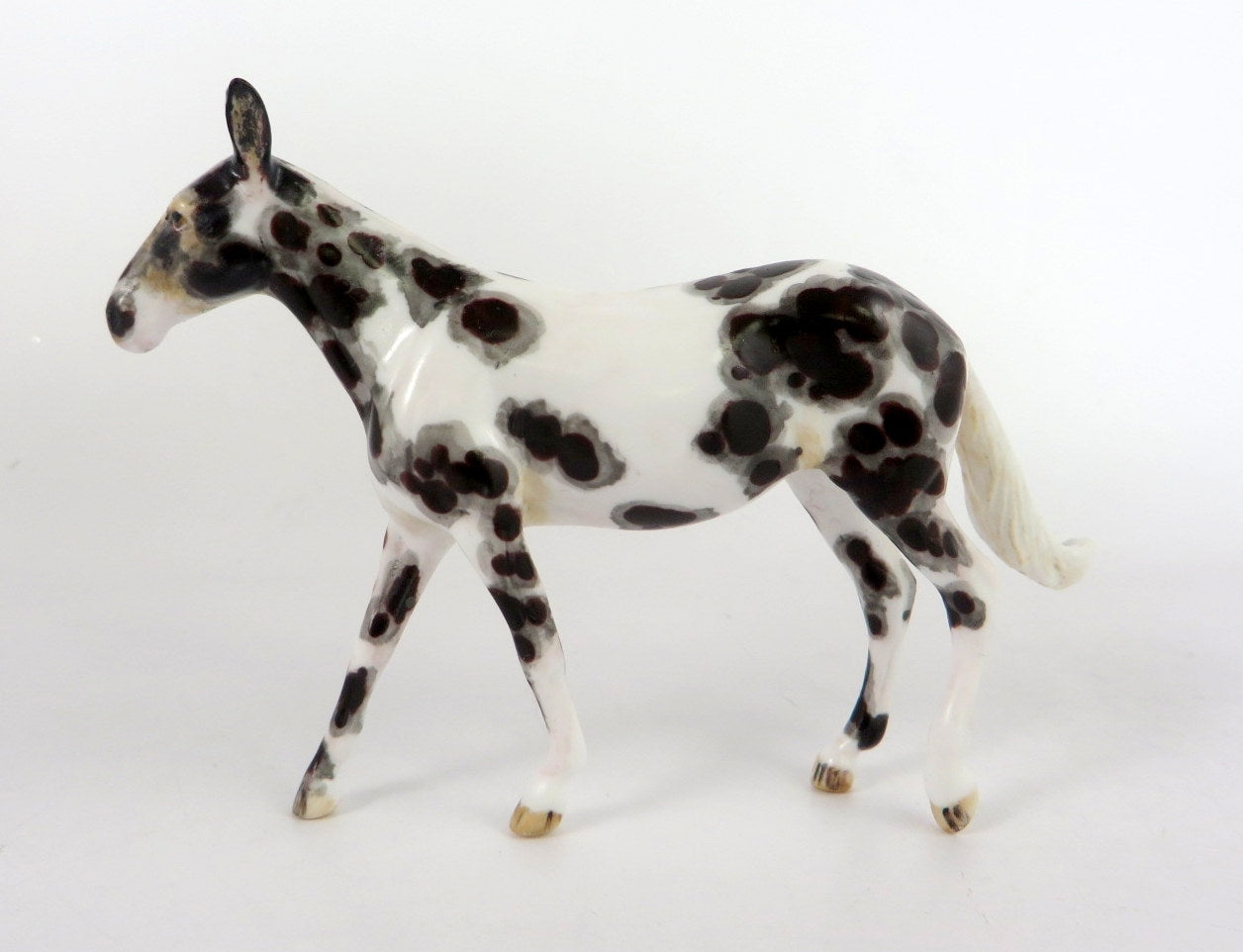 BORAX - OOAK APPY MULE CHIP BY ANDREA THOMASON  WHS19