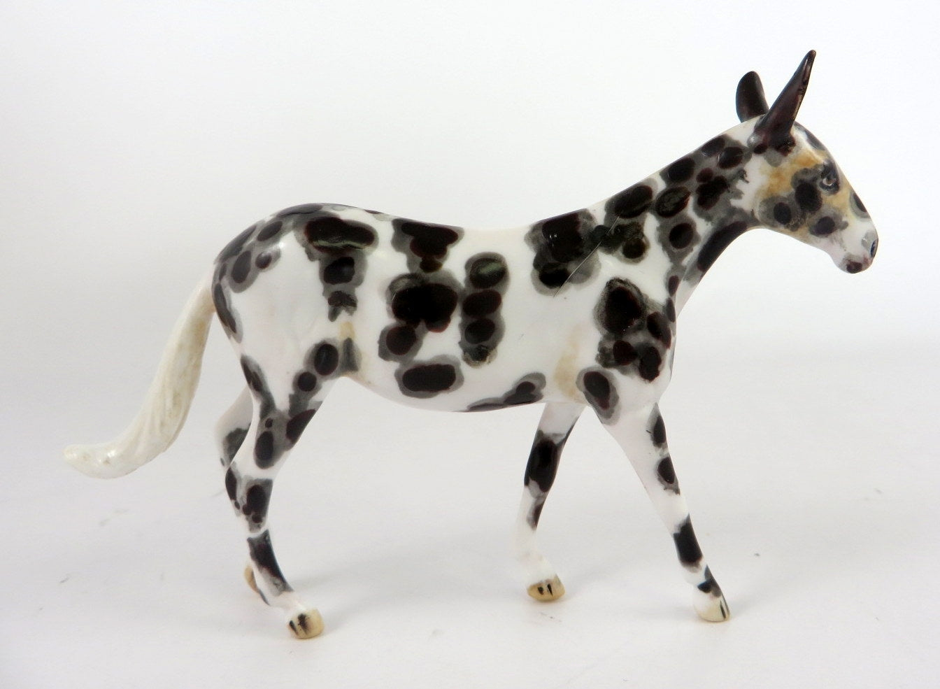 BORAX - OOAK APPY MULE CHIP BY ANDREA THOMASON  WHS19