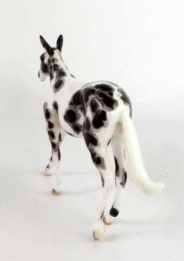 BORAX - OOAK APPY MULE CHIP BY ANDREA THOMASON  WHS19