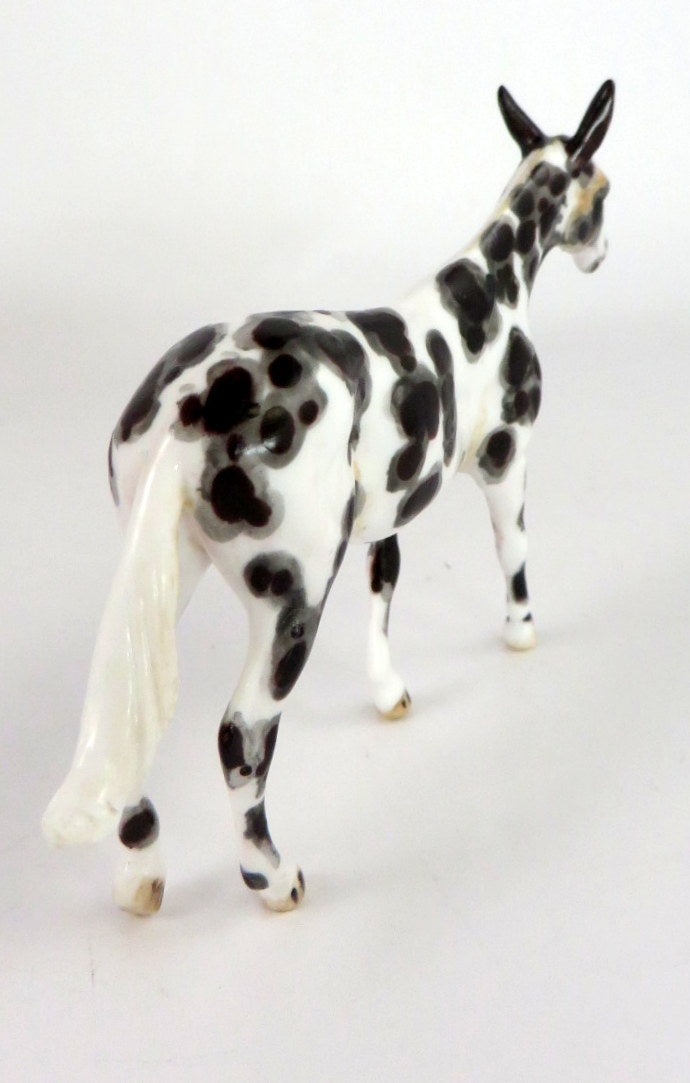 BORAX - OOAK APPY MULE CHIP BY ANDREA THOMASON  WHS19