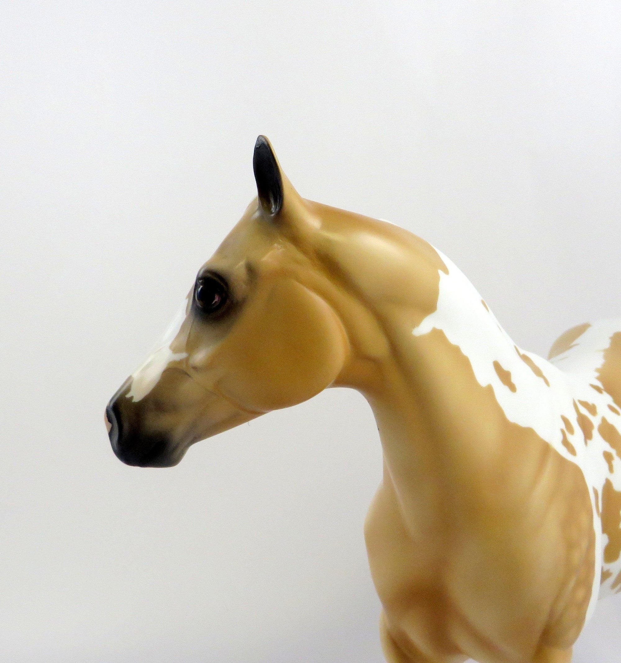 BORS-OOAK PALOMINO TOBIANO ISH MODEL HORSE EQ 19