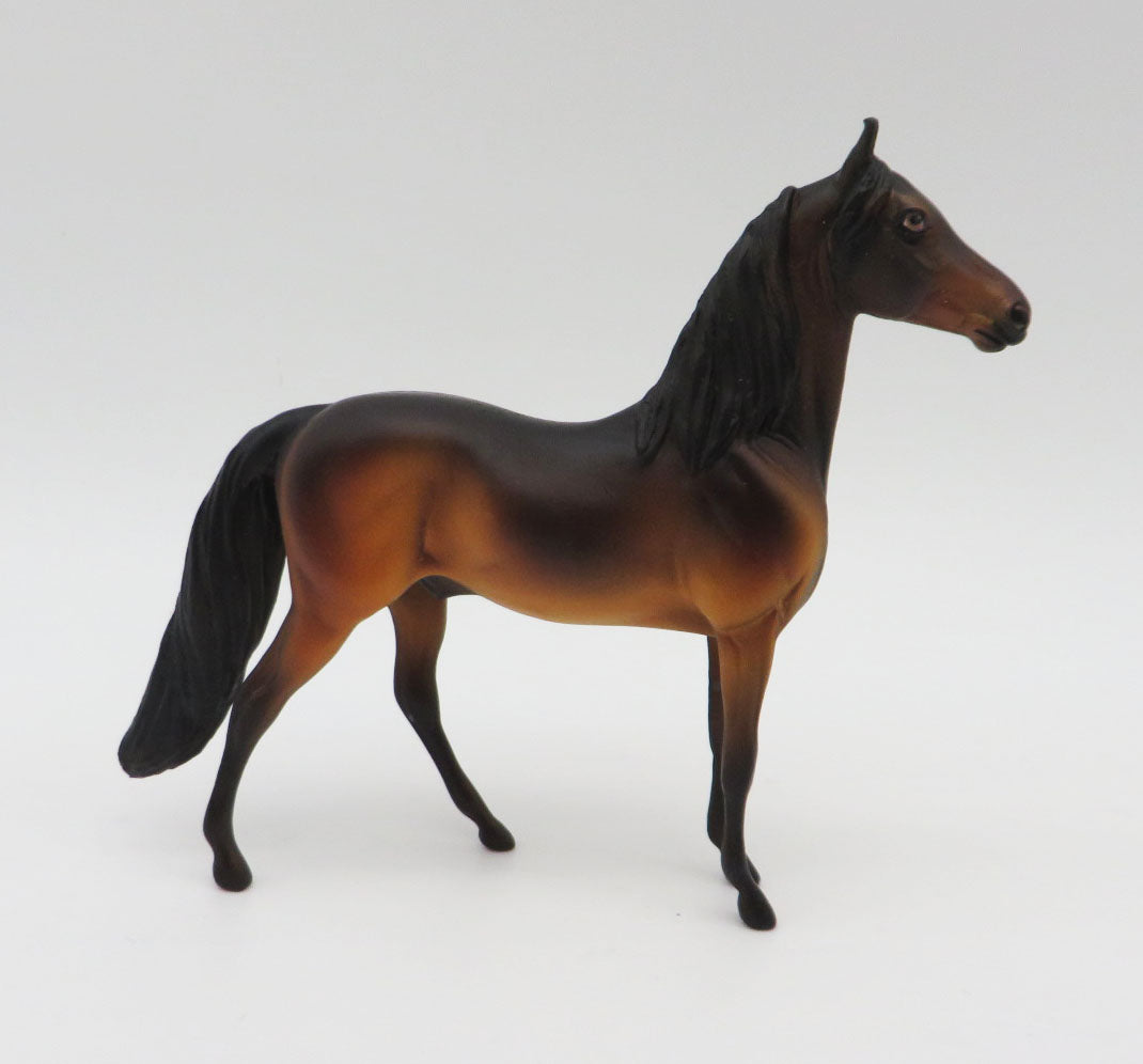 Vau Vau-OOAK Bay Morgan Chip By Dawn Quick  P&C 23