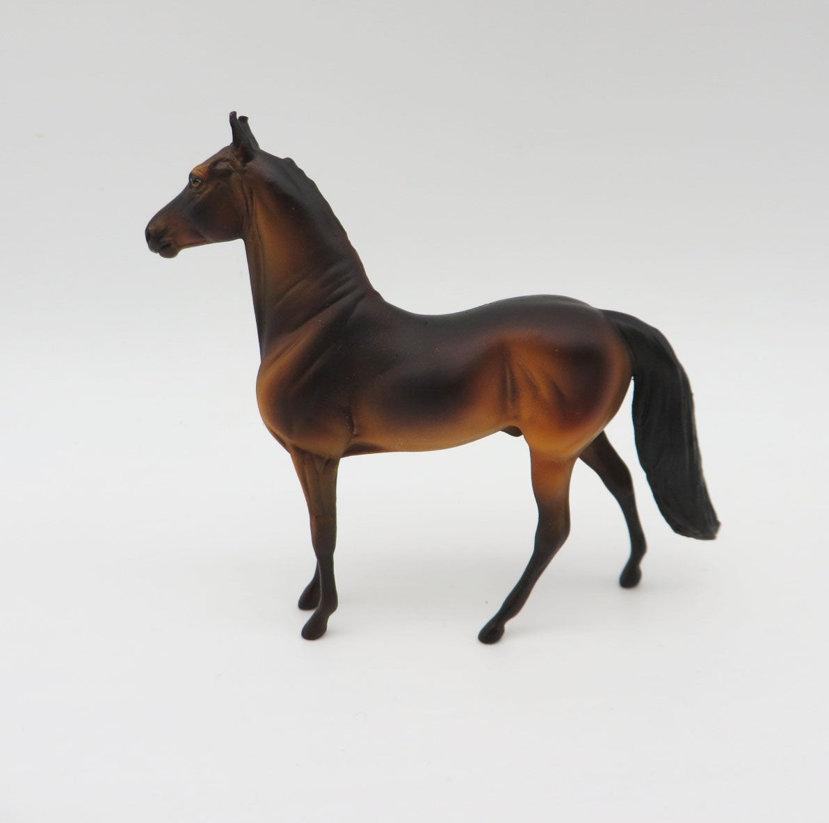 Vau Vau-OOAK Bay Morgan Chip By Dawn Quick  P&amp;C 23