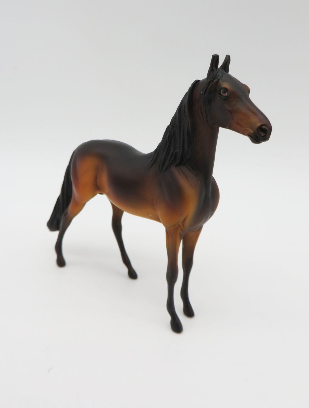 Vau Vau-OOAK Bay Morgan Chip By Dawn Quick  P&amp;C 23