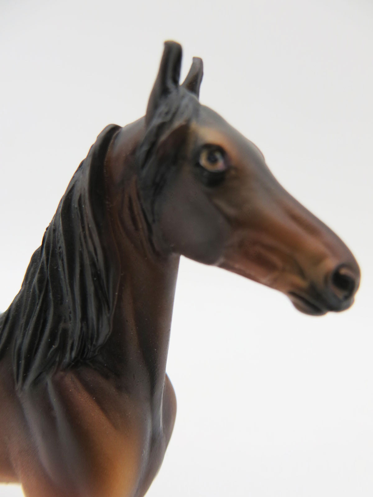 Vau Vau-OOAK Bay Morgan Chip By Dawn Quick  P&amp;C 23