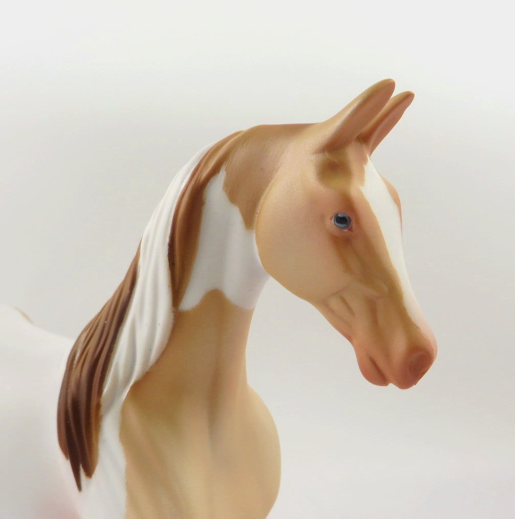 BRANDY- OOAK PERLINO TOBIANO SADDLEBRED PEBBLES BY AUDREY DIXON WHS19