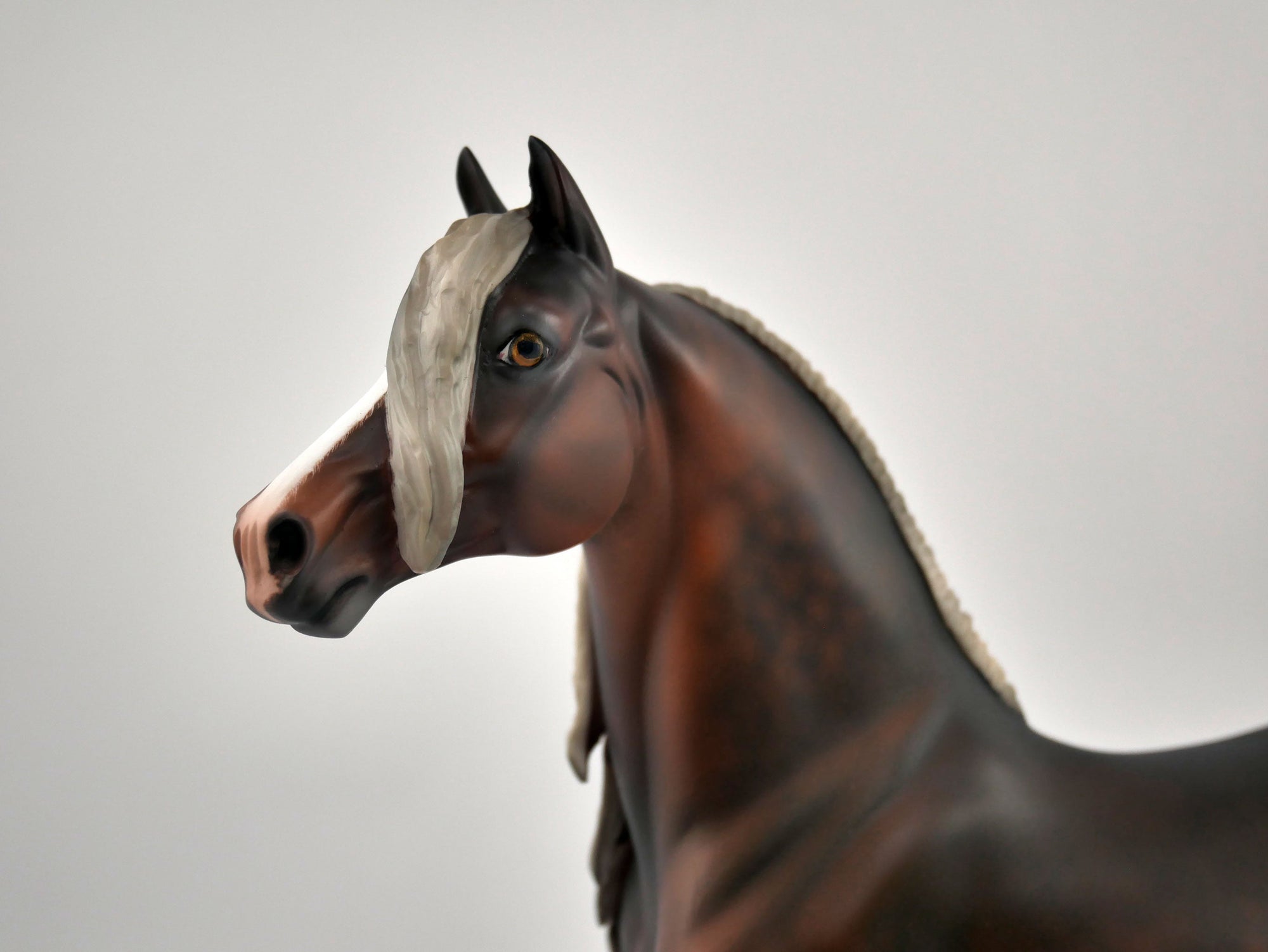 Brimstone Dapple Chestnut Morgan by Julie Keim MM 2020