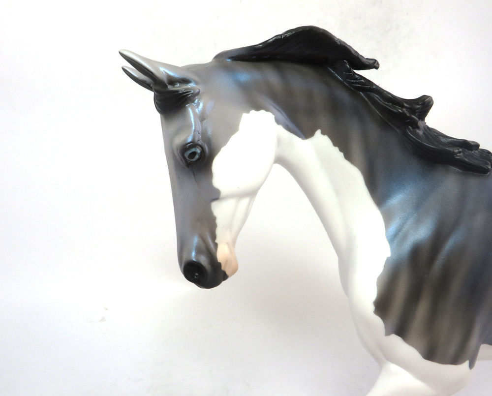 BLITZ- OOAK TIGER BRINDLE SPLASH PATTERN THOROUGHBRED EA19