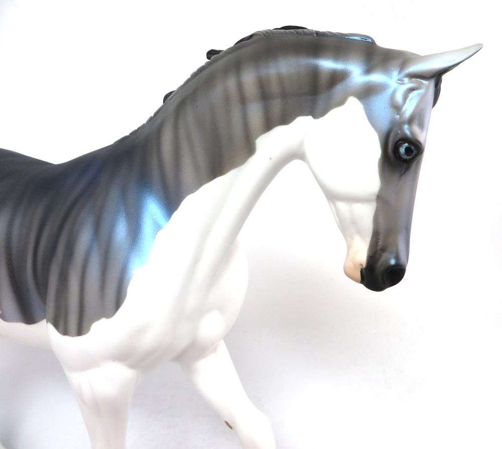 BLITZ- OOAK TIGER BRINDLE SPLASH PATTERN THOROUGHBRED EA19