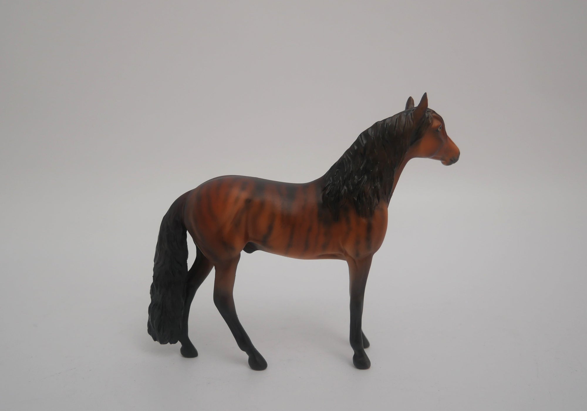 EQUILOCITY 2020 GRAB BAGS