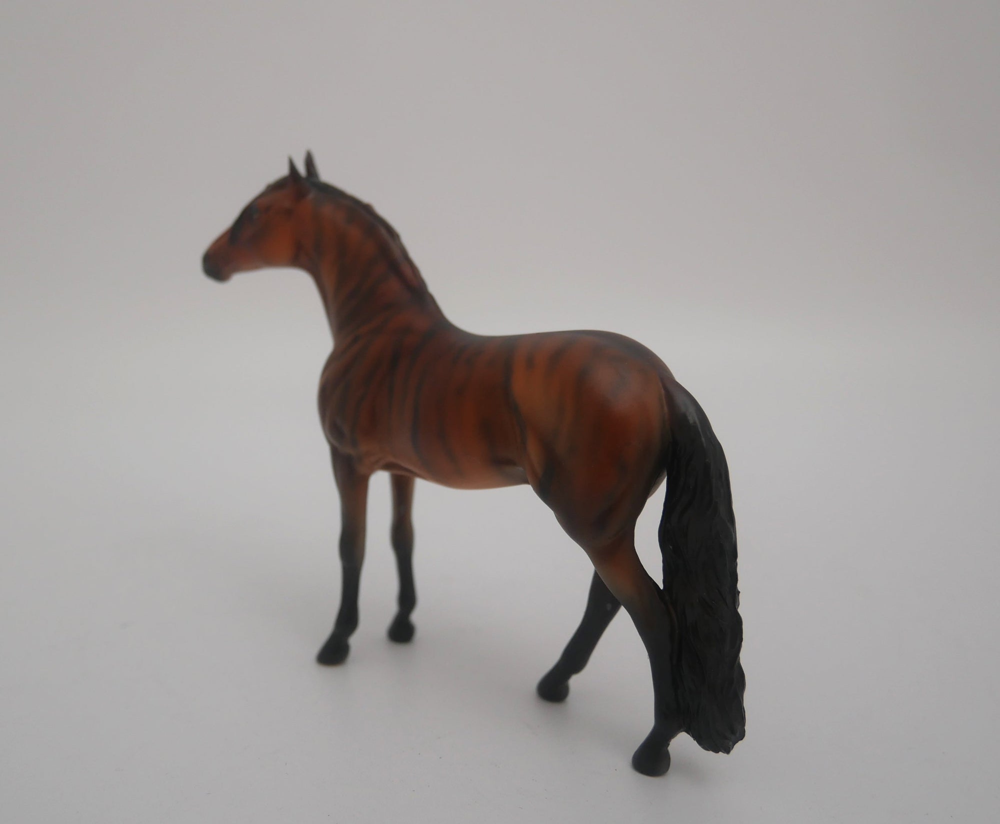 EQUILOCITY 2020 GRAB BAGS