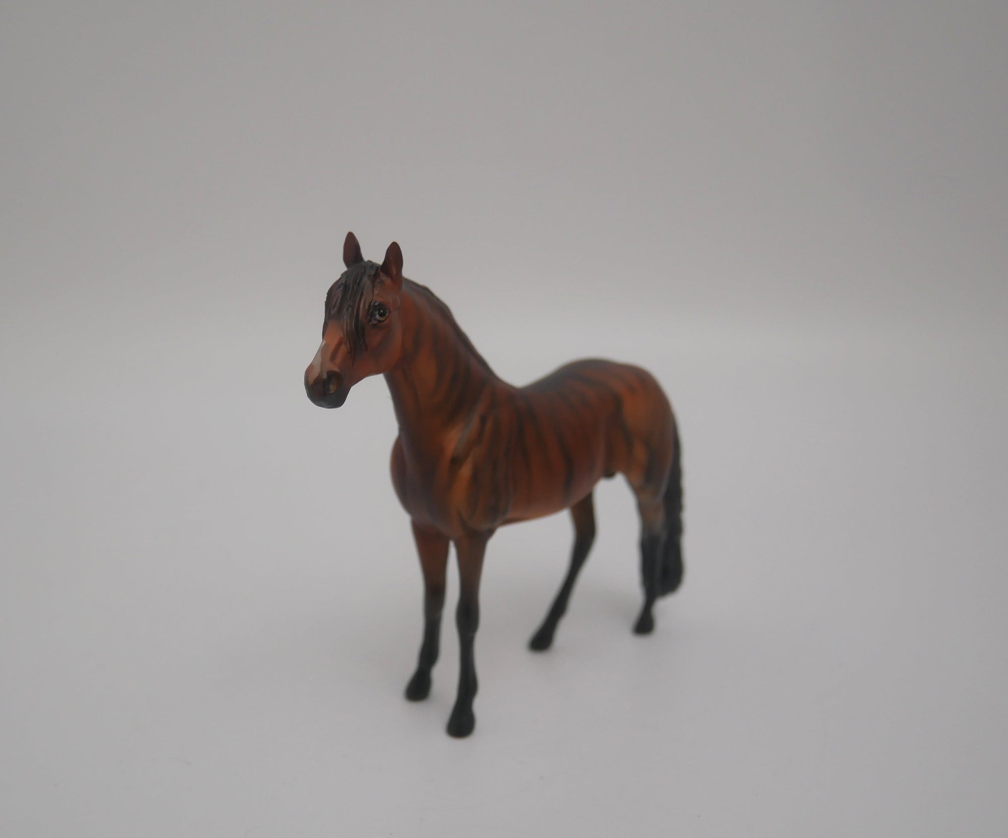 EQUILOCITY 2020 GRAB BAGS