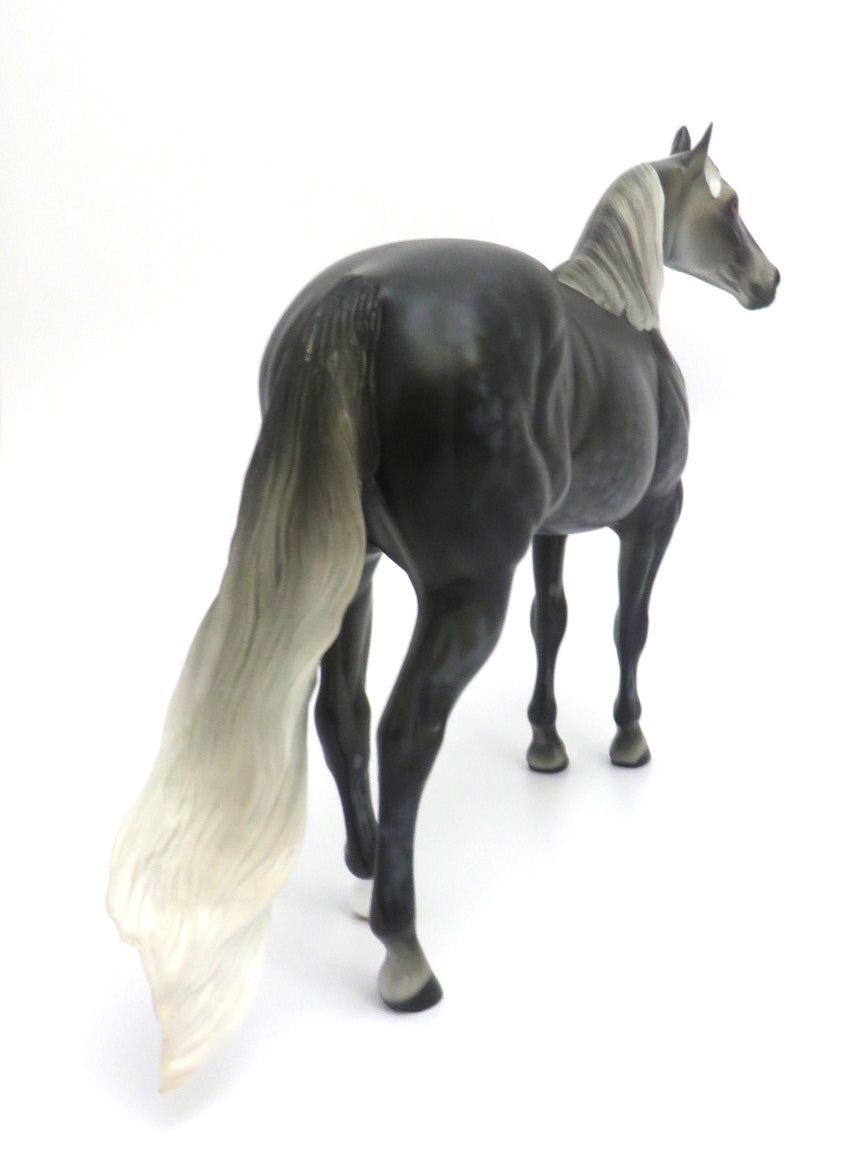 BUCK-A-BOO-OOAK STAR DAPPLE GREY ISH MODEL HORSE 2/28/20
