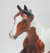 BUCK OF SUGAR - OOAK BAY PINTO APPALOOSA  FOUNDATION QUARTER HORSE BY AUDREY DIXON 3/16/20