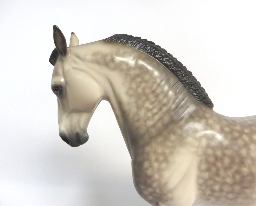 OUTLAW- OOAK DAPPLED BUCKSKIN ANDY  SHERYL LEISURE  3-15-19