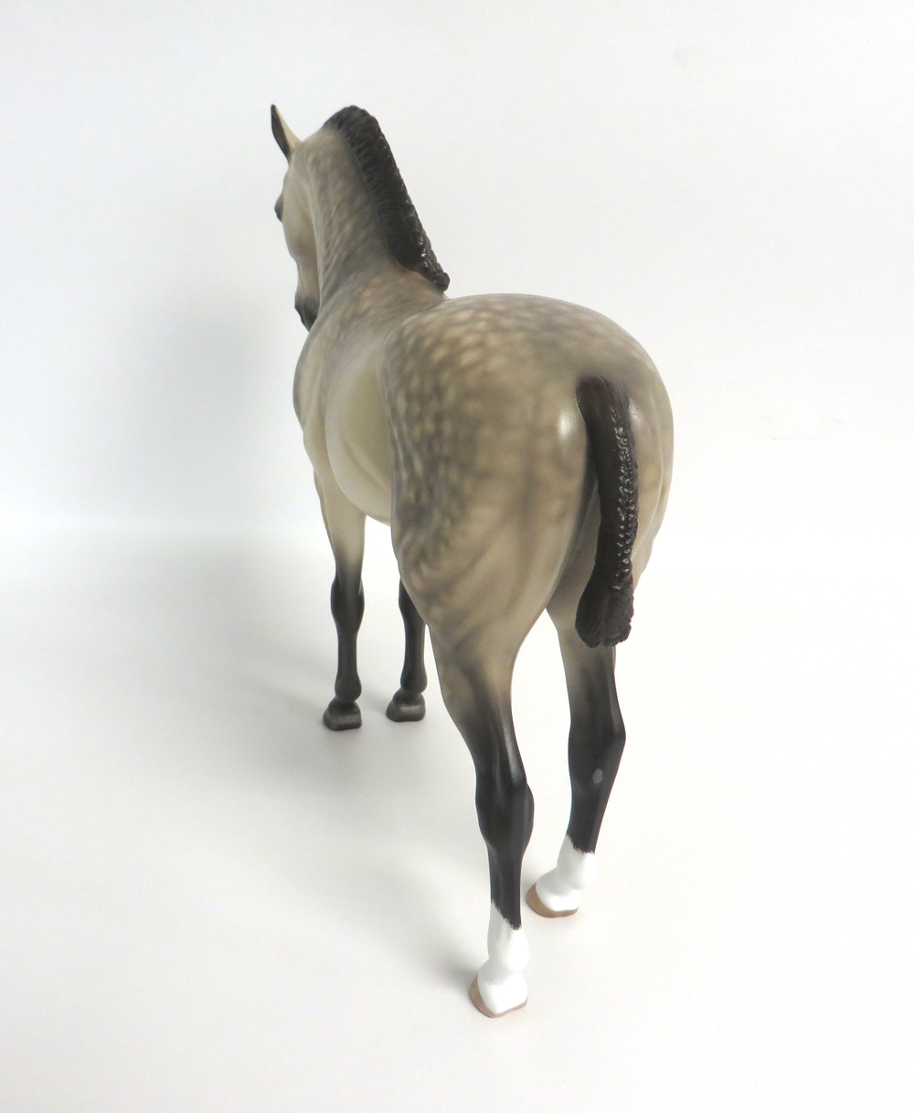 OUTLAW- OOAK DAPPLED BUCKSKIN ANDY  SHERYL LEISURE  3-15-19