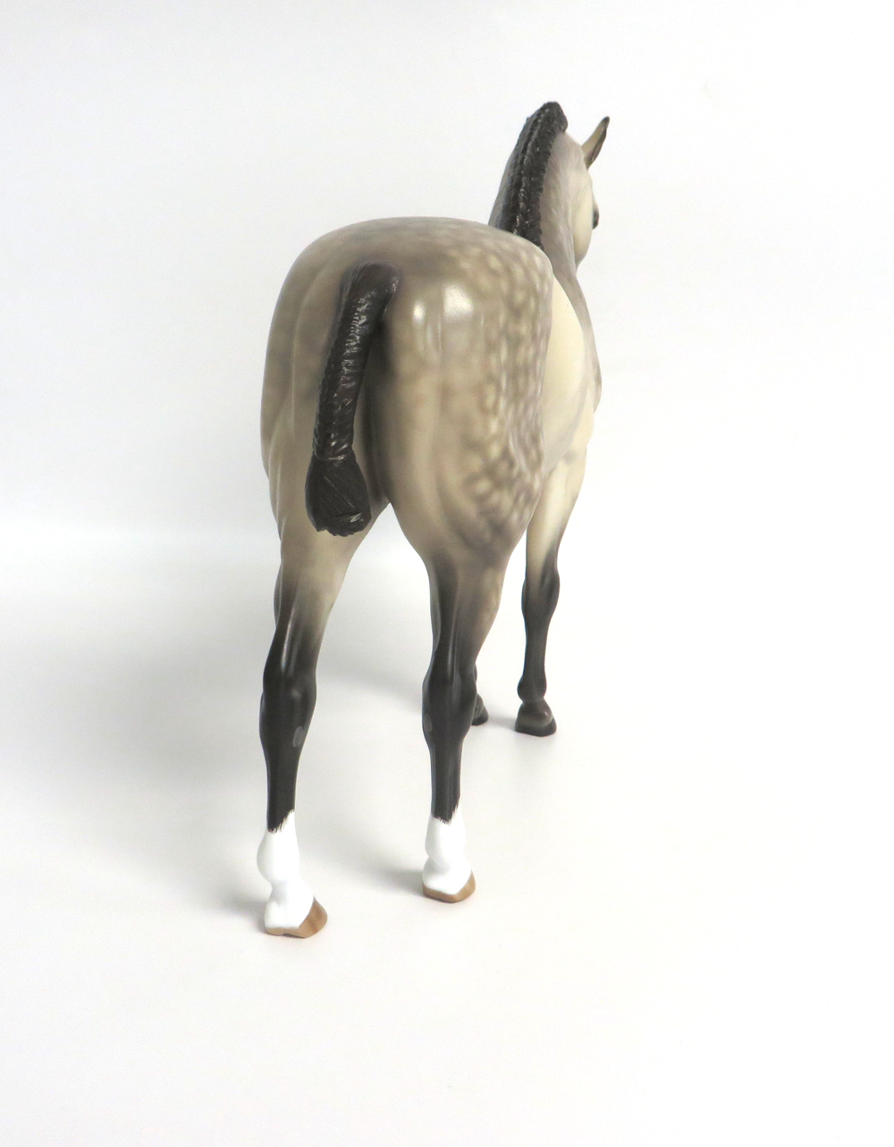 OUTLAW- OOAK DAPPLED BUCKSKIN ANDY  SHERYL LEISURE  3-15-19