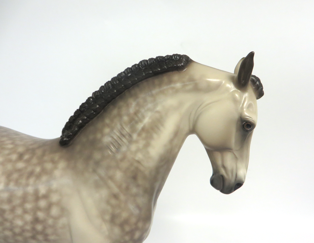 OUTLAW- OOAK DAPPLED BUCKSKIN ANDY  SHERYL LEISURE  3-15-19