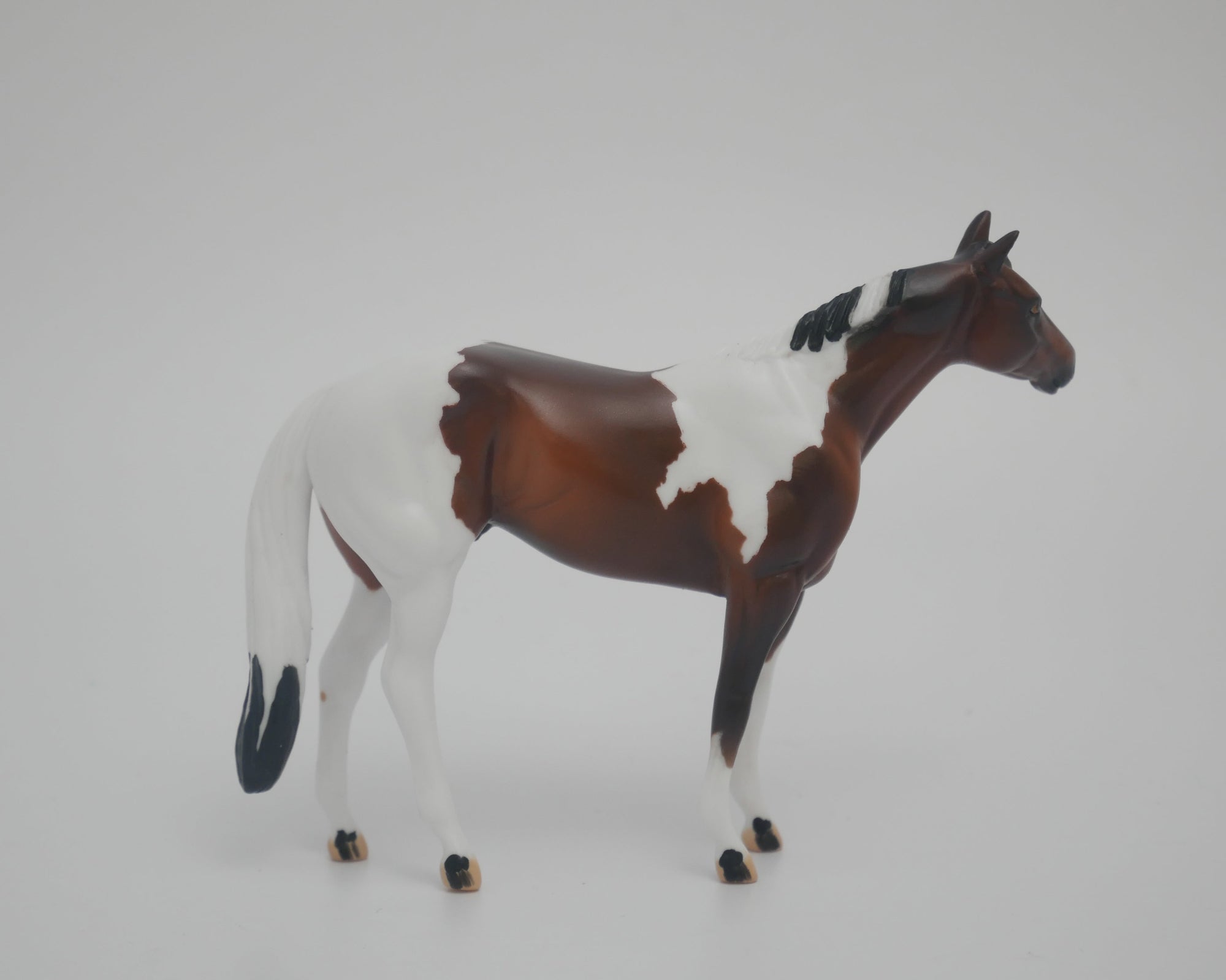 MINI ME BUCKEYE BAY PINTO STONE STOCK HORSE CHIP MODEL HORSE EA/MW 2020