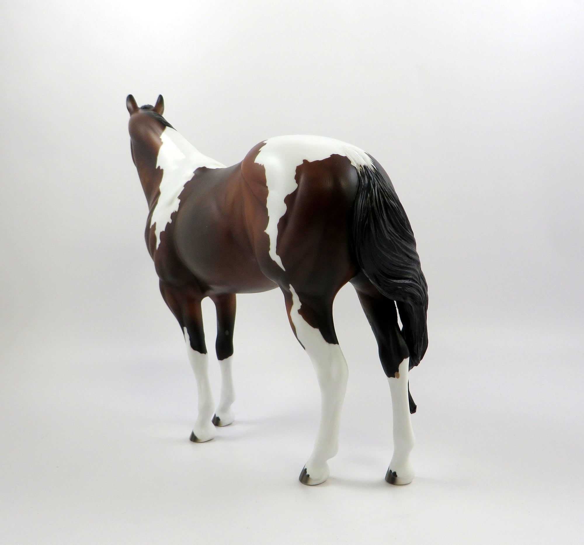 BUCKINGHAM-OOAK DAPPLE BAY PAINT ISH MODEL HORSE EQ 19
