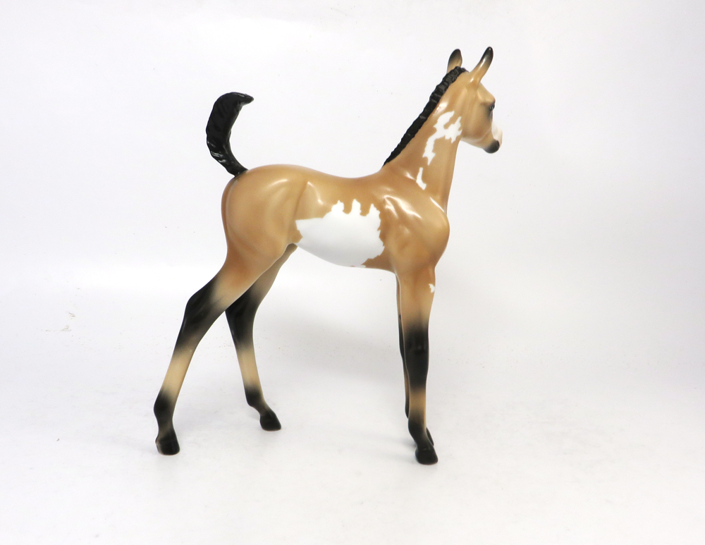 TUMBLE- LE 7- ARABIAN FOAL BUCKSKIN OVERO SB19