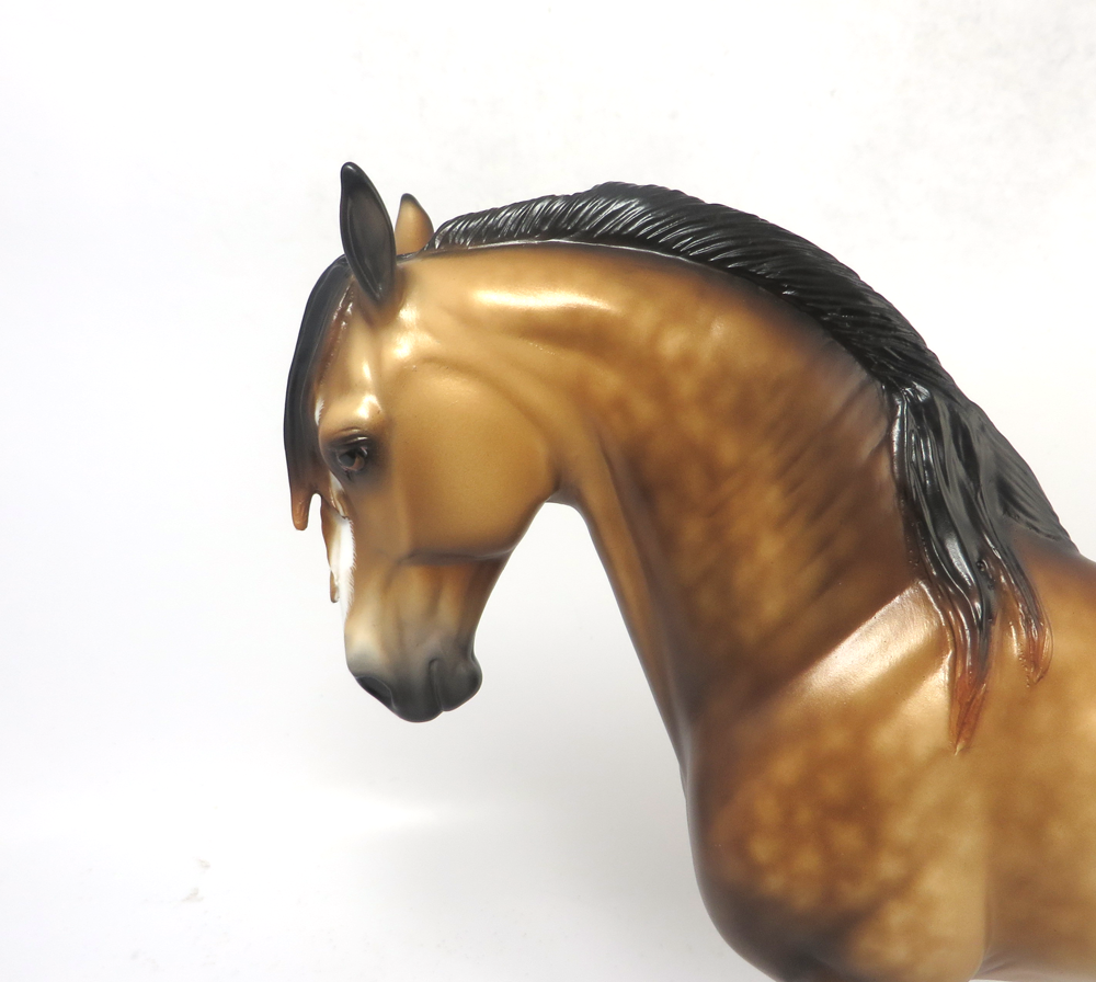 REVERE- OOAK DAPPLED BUCKSKIN ANDY CUSTOM  SHERYL LEISURE 2-20-19