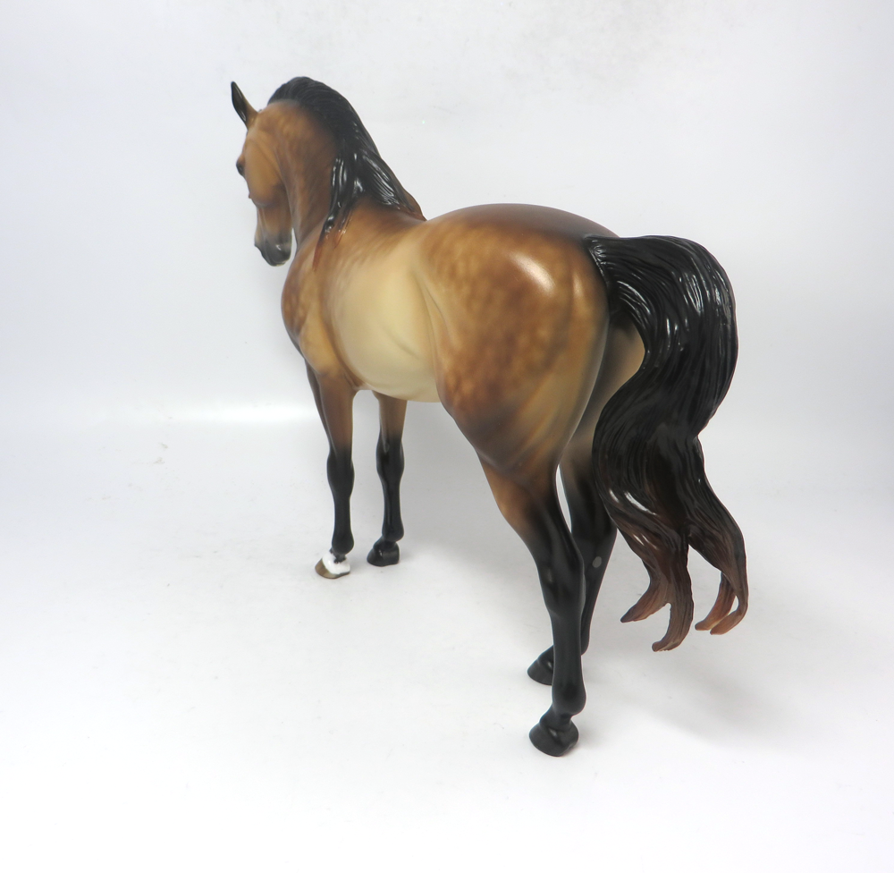 REVERE- OOAK DAPPLED BUCKSKIN ANDY CUSTOM  SHERYL LEISURE 2-20-19