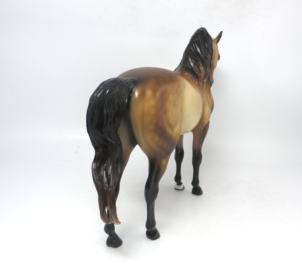 REVERE- OOAK DAPPLED BUCKSKIN ANDY CUSTOM  SHERYL LEISURE 2-20-19