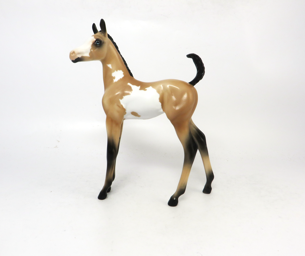 TUMBLE- LE 7- ARABIAN FOAL BUCKSKIN OVERO SB19