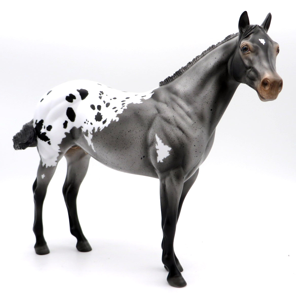 Buffalo Bill - OOAK Varnish Roan Appaloosa ISH by Carrie - MM 2021