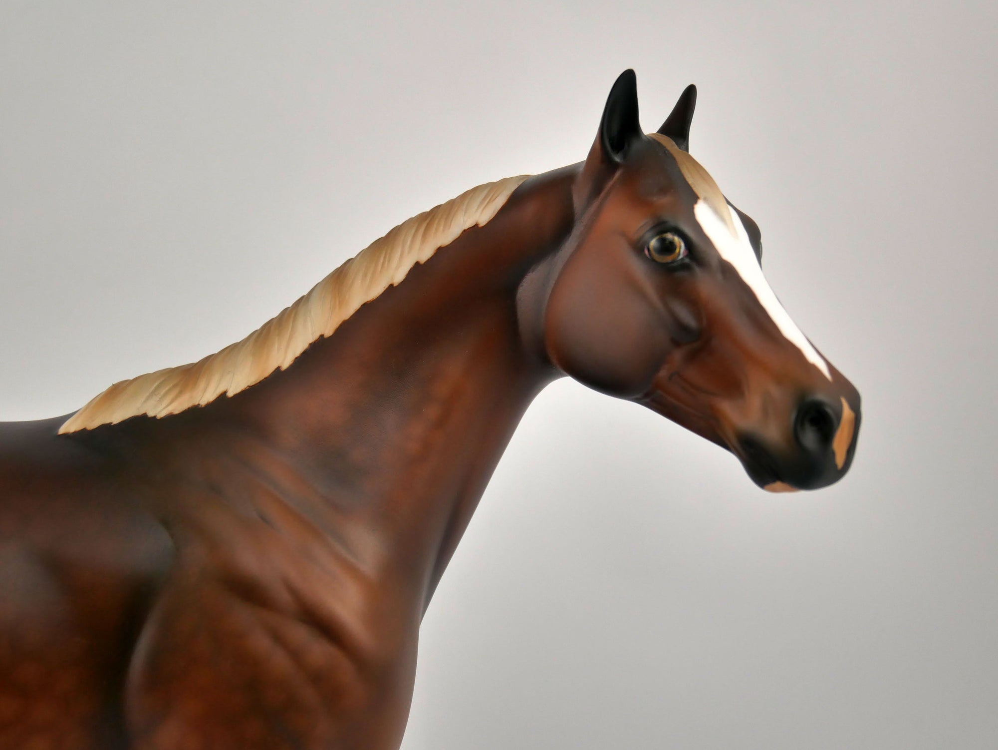 Bug A Boo-LE-15 Chestnut ISH MM 2020