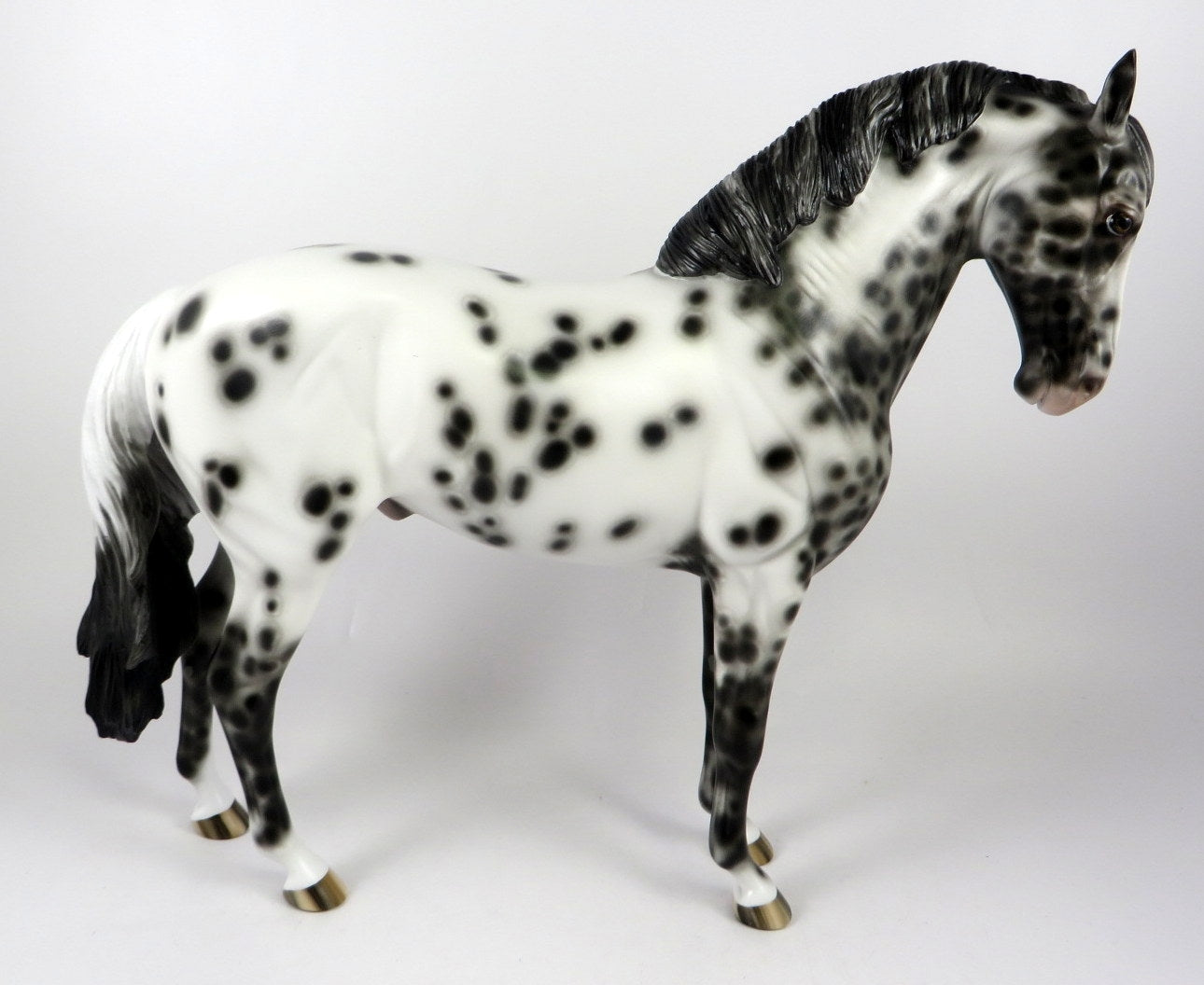 BUGS AND HISSES-OOAK LOUD APPALOOSA ANDALUSIAN BY SHERYL LEISURE MM 2019