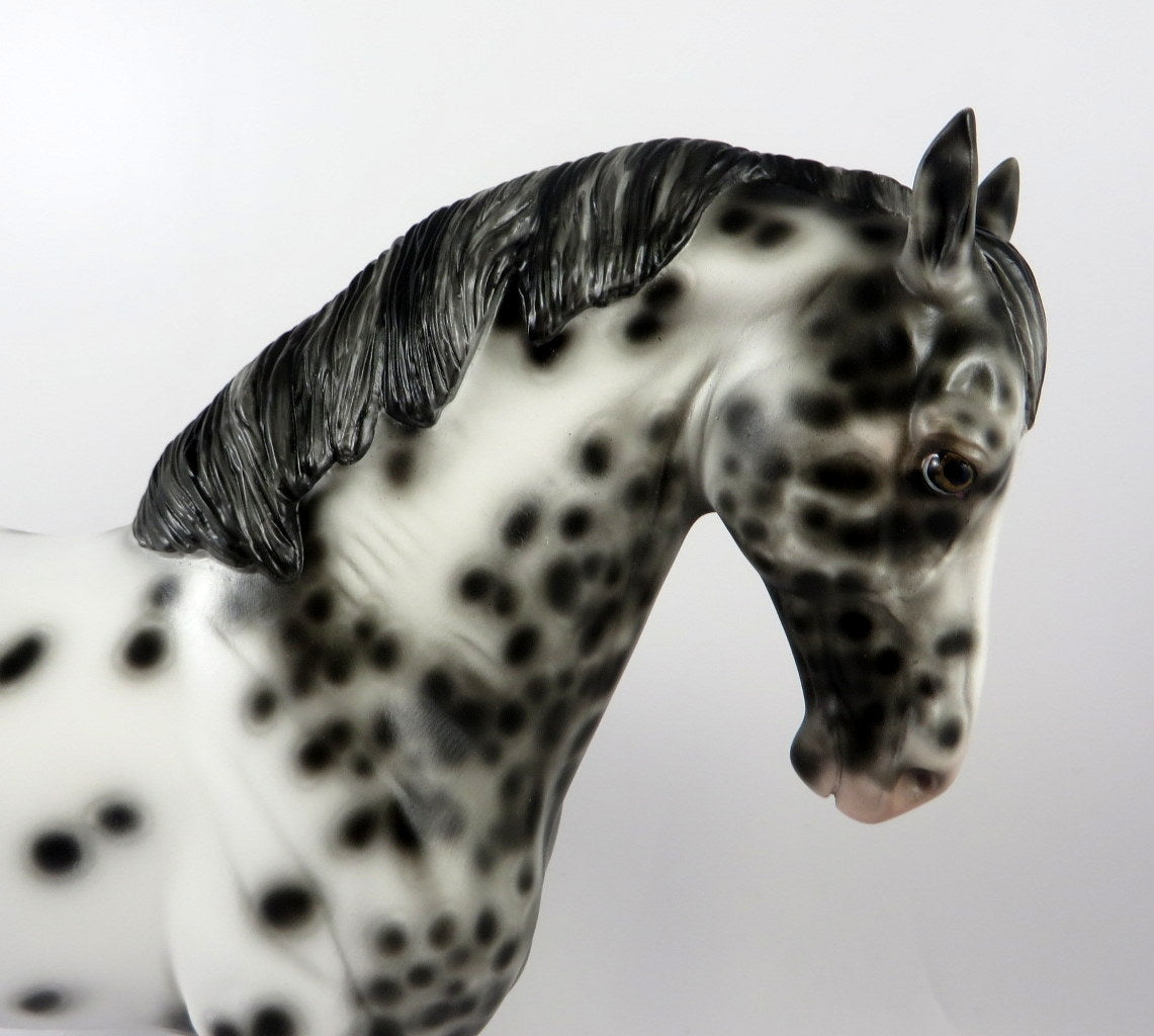 BUGS AND HISSES-OOAK LOUD APPALOOSA ANDALUSIAN BY SHERYL LEISURE MM 2019
