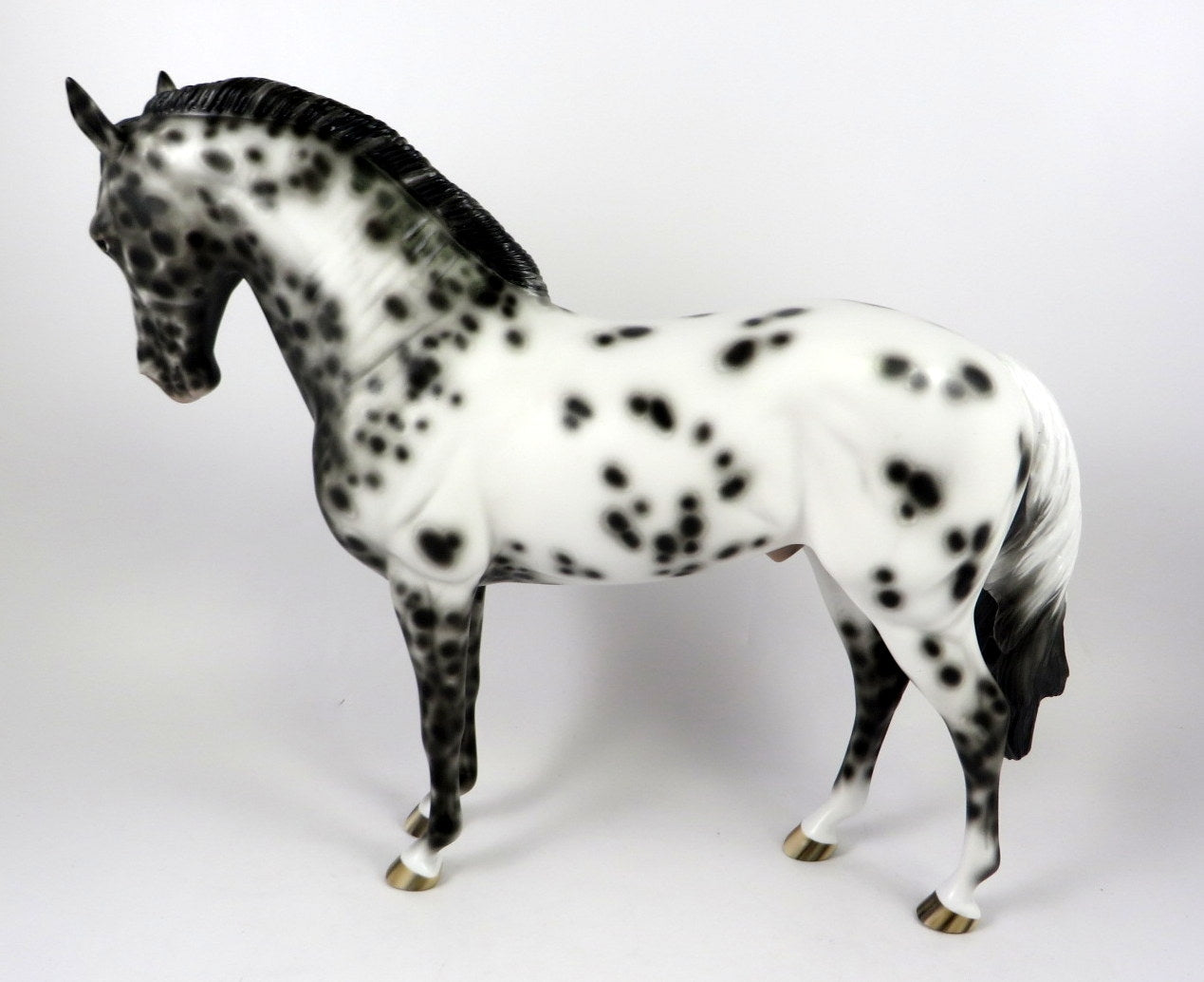 BUGS AND HISSES-OOAK LOUD APPALOOSA ANDALUSIAN BY SHERYL LEISURE MM 2019